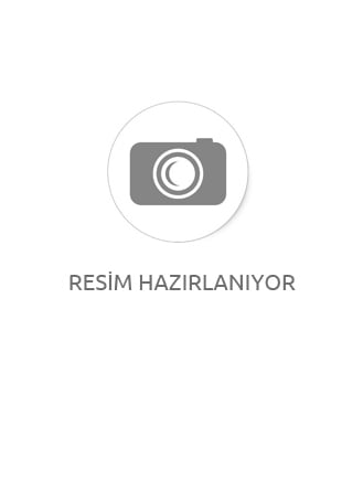 Şeffaf Akvaryum Silikonu 310 ml